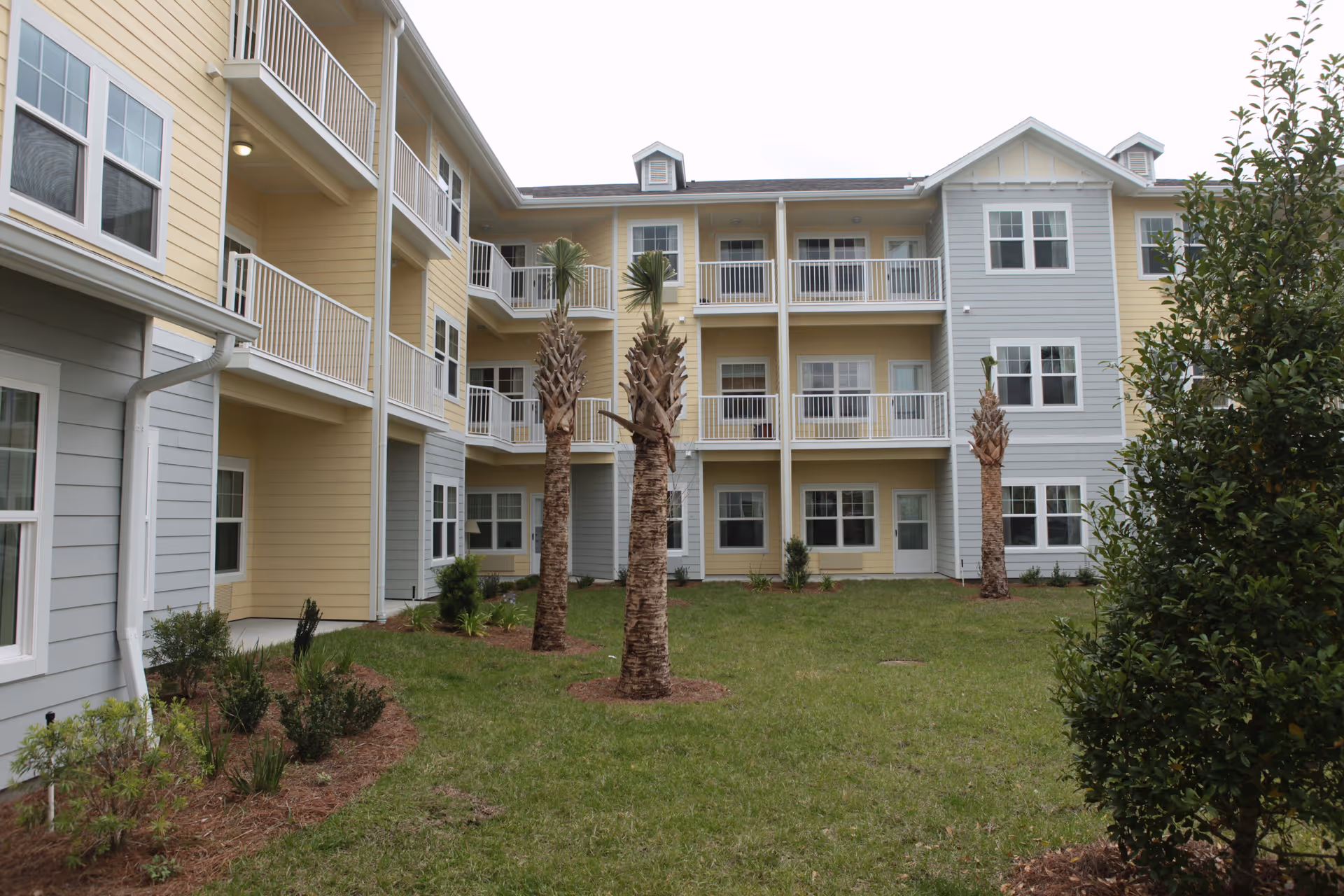 View of the exterior courtyard of a multi-story residential building with yellow and light blue siding, white railings on balconies, several palm trees, and green grass with shrubs.
