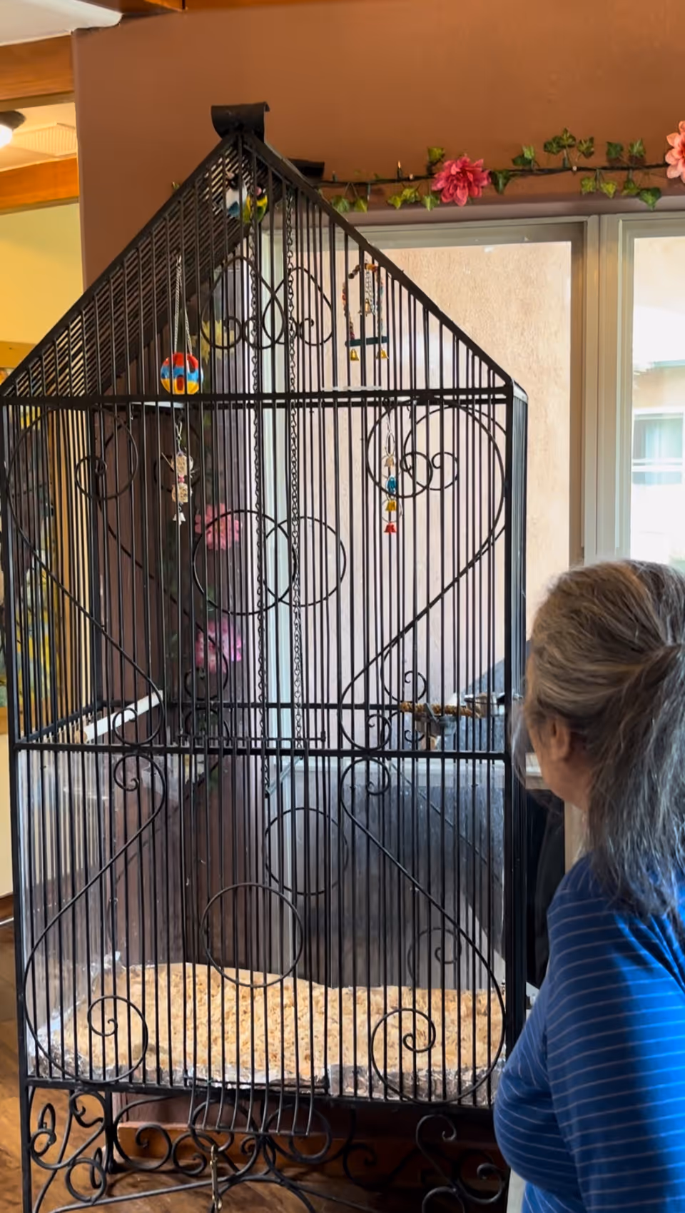 A large ornate black birdcage sits in a bright indoor common area by windows while a person stands at the right looking at it.