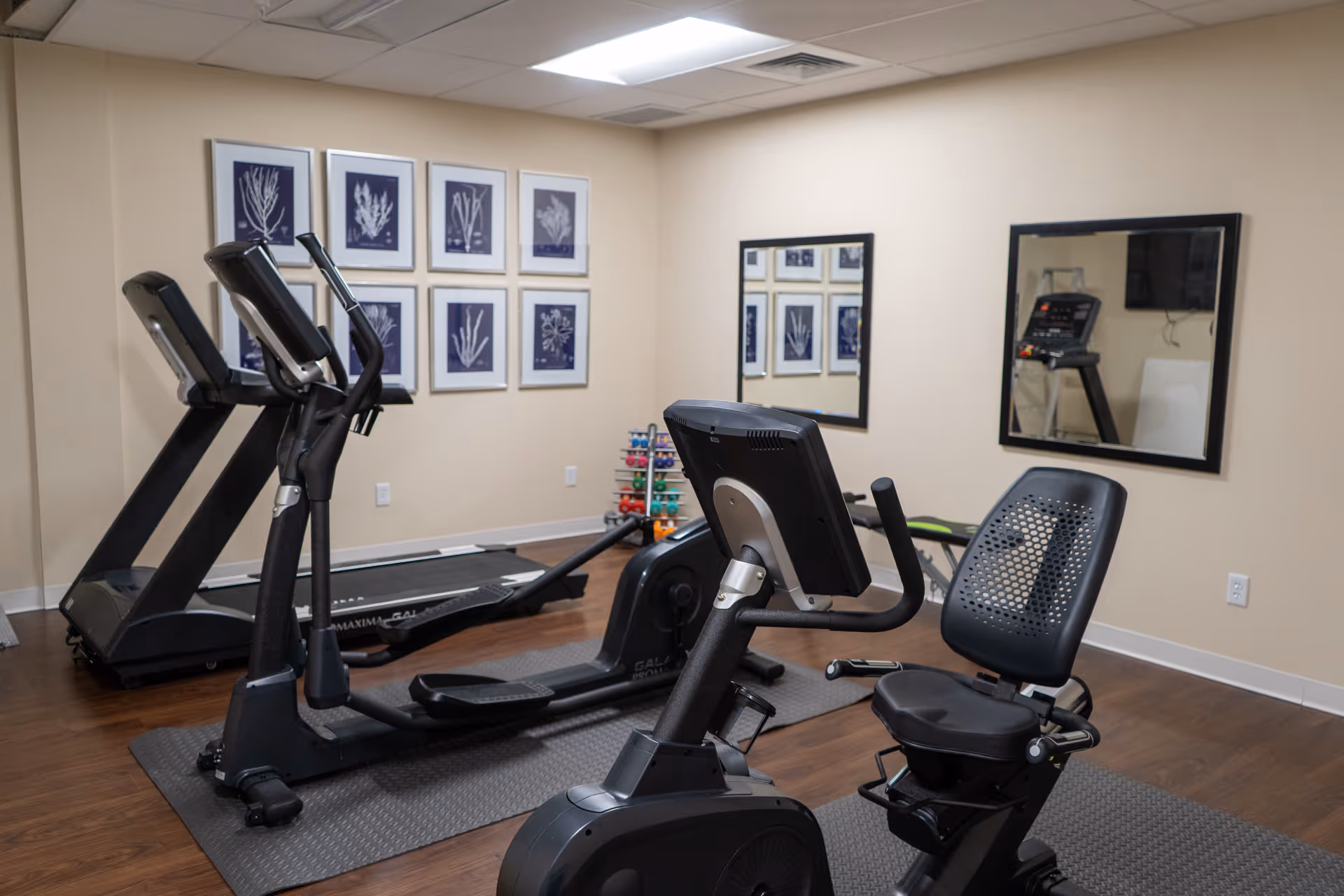 A small fitness room with exercise equipment including a treadmill, an elliptical machine, and a recumbent bike. The room has wooden flooring, beige walls, framed botanical prints on one wall, two mirrors on another wall, and a rack of colorful dumbbells in the corner.
