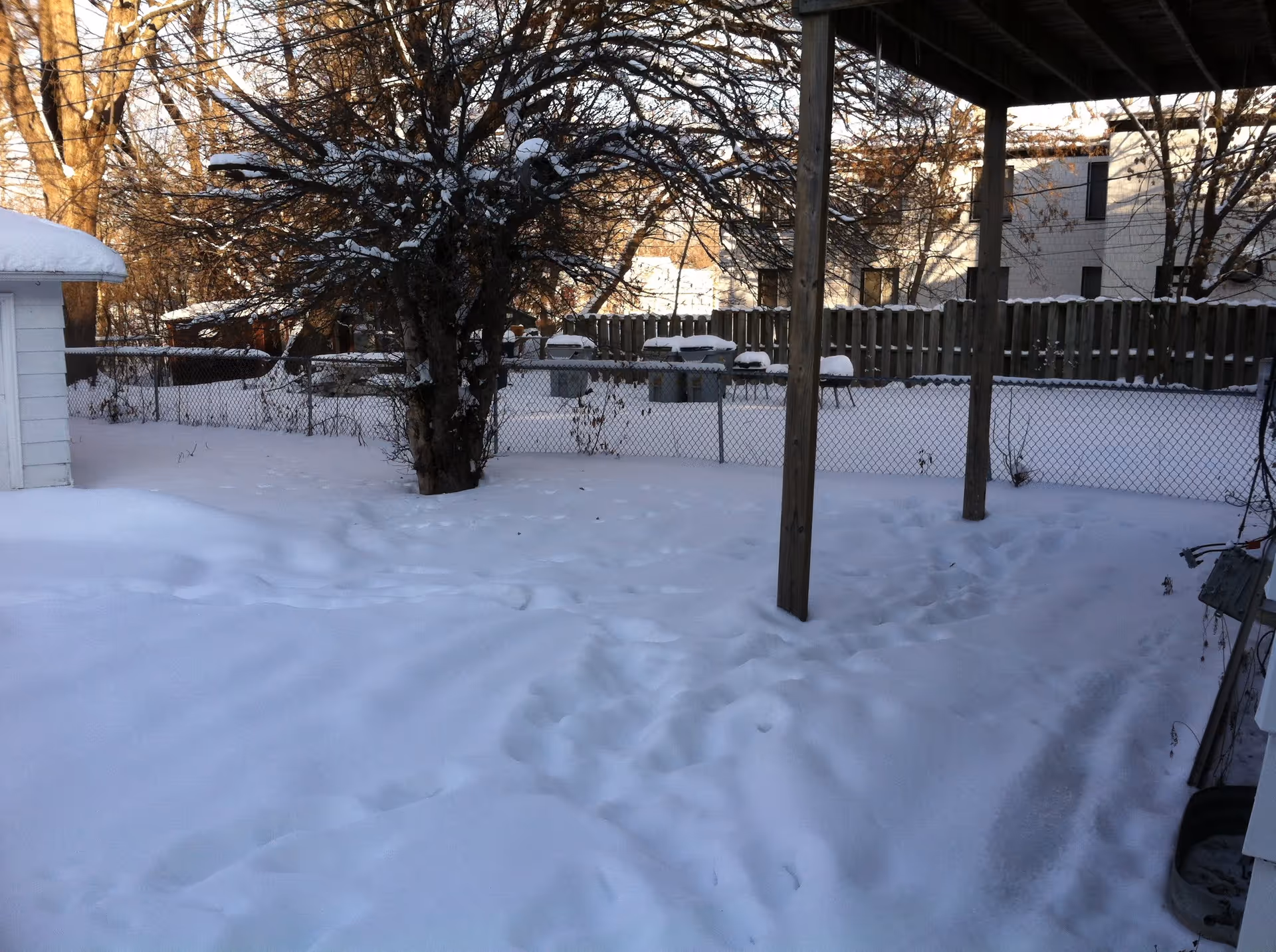 Snow-covered backyard with a tree in the center, a chain-link fence in the background, and a wooden post supporting a roofed area on the right side. There are footprints in the snow and some snow-covered objects behind the fence.