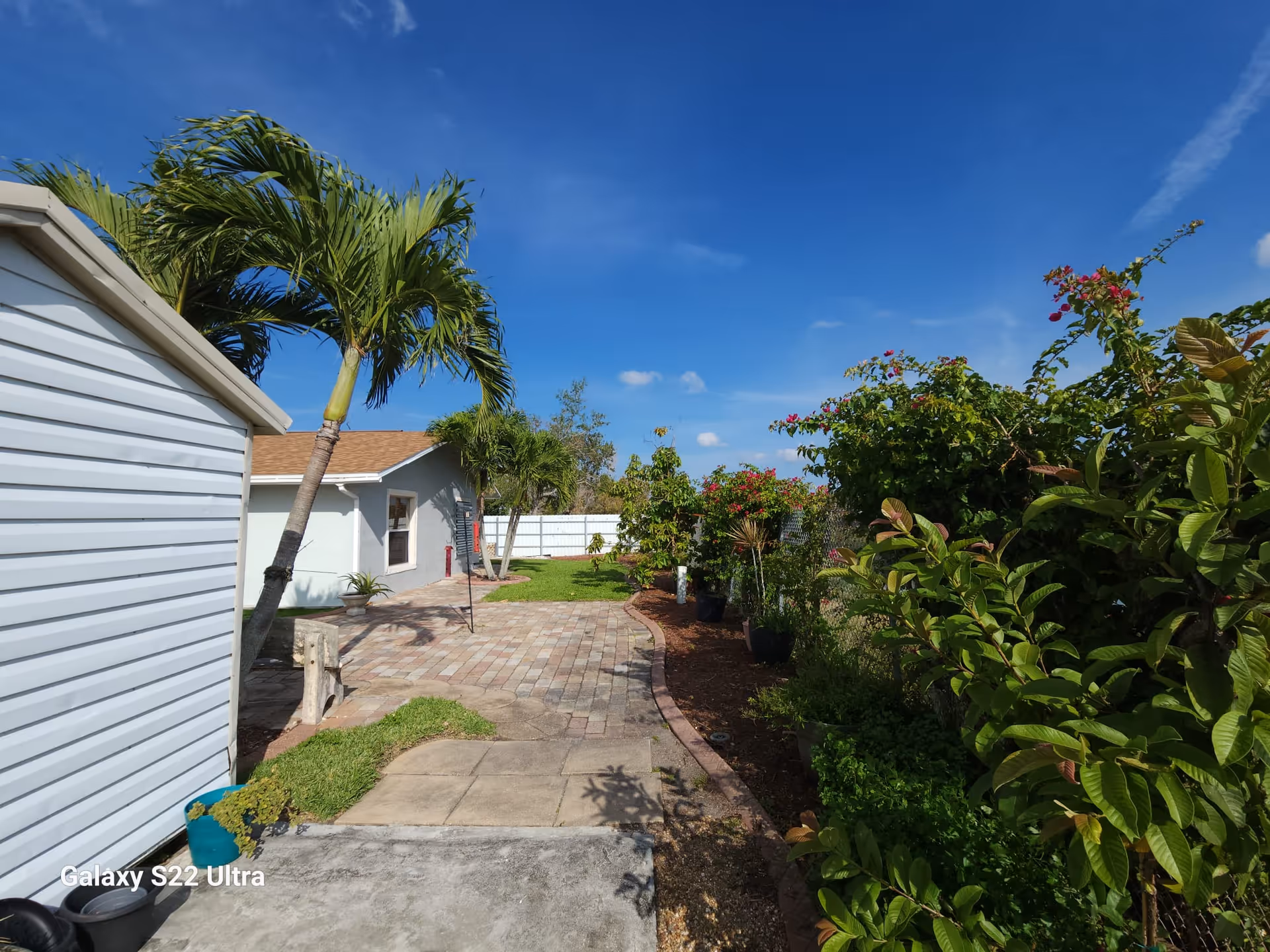 Outdoor garden area with a paved walkway, green grass, palm trees, and various bushes and flowering plants under a clear blue sky.