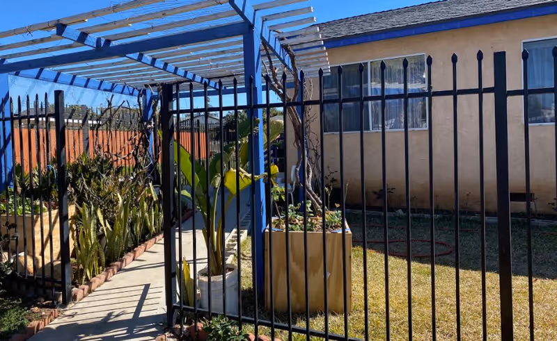 Blue pergola over a fenced courtyard with potted plants beside a beige building.