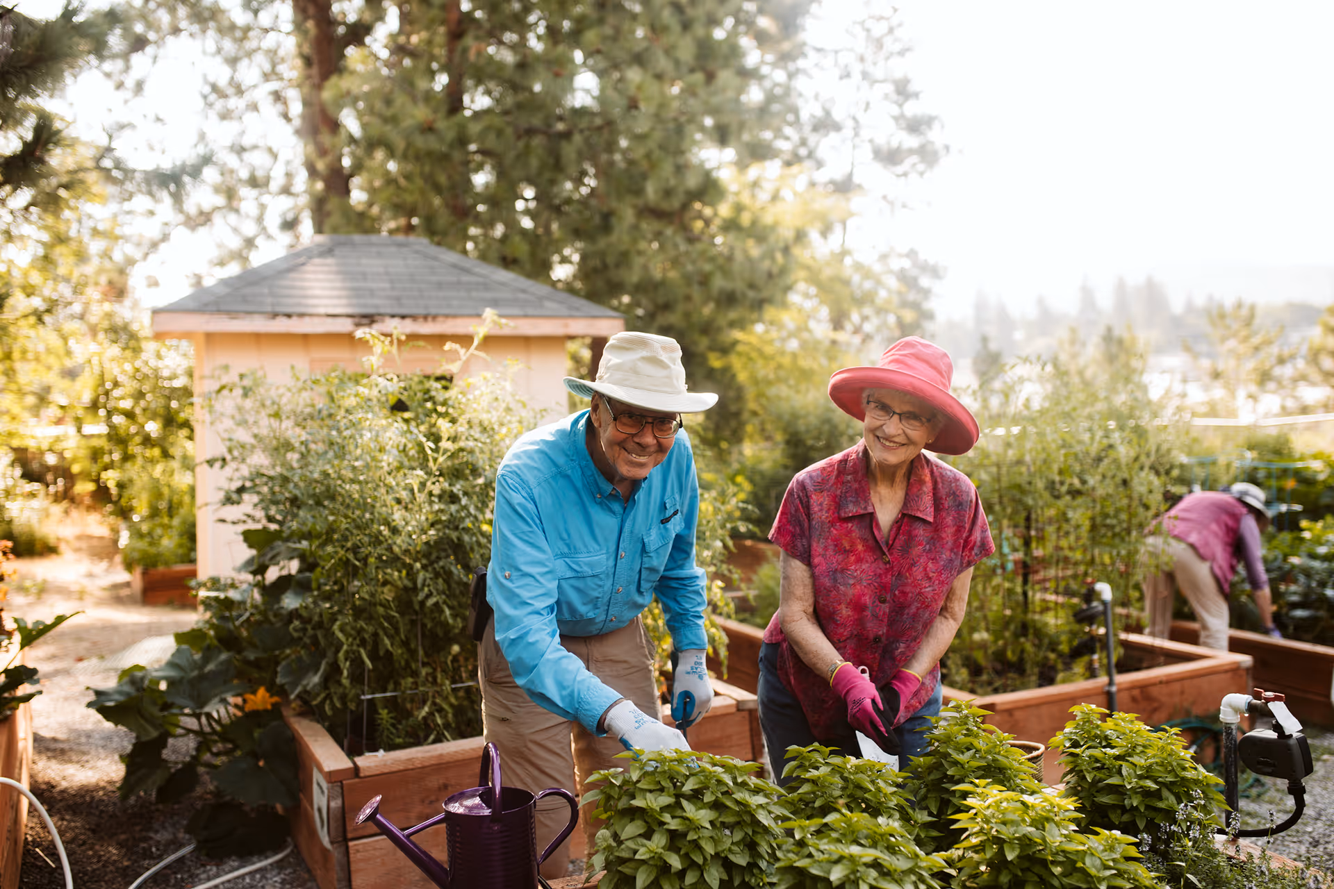 Two elderly people gardening in raised garden beds outdoors, smiling and wearing sun hats and gloves, with another person gardening in the background and trees surrounding the area.