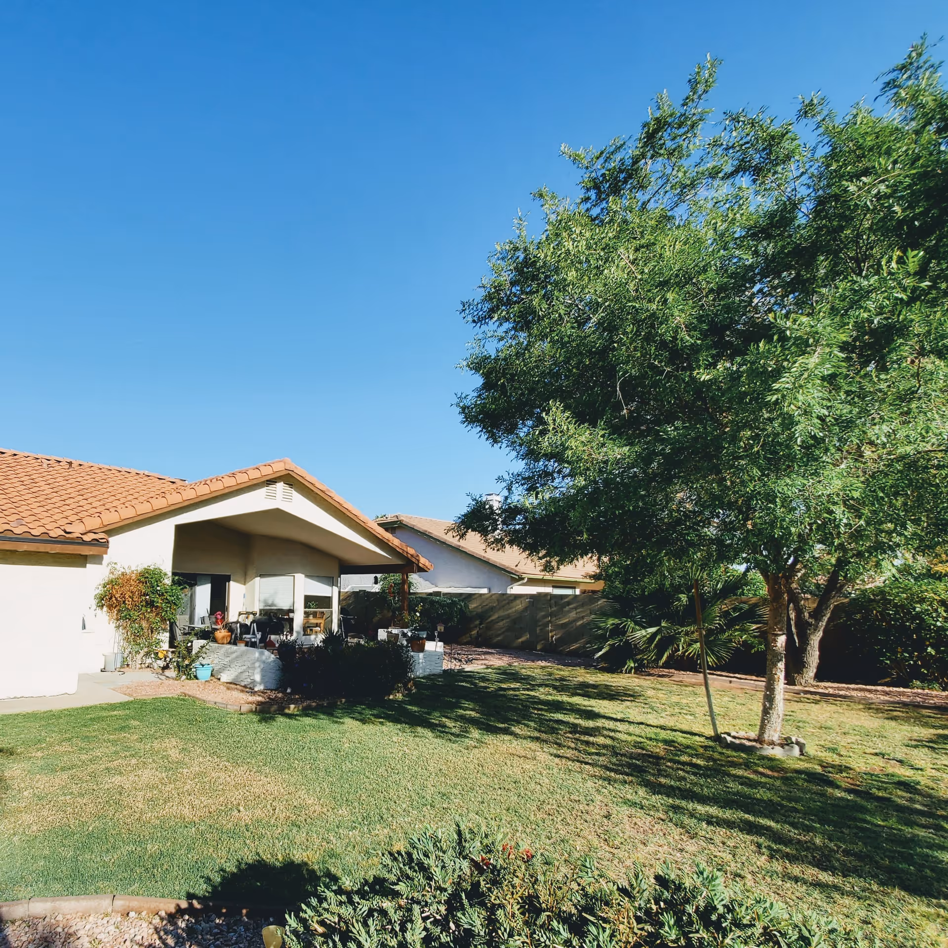 Single-story house with a covered patio, green lawn and a large tree under a clear blue sky.