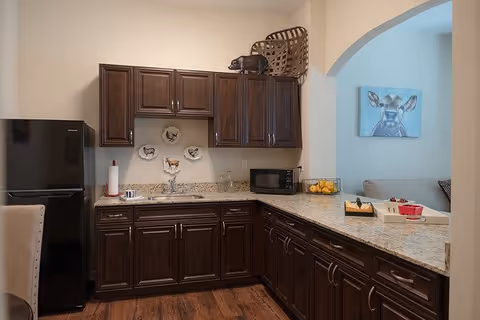A kitchen area with dark wooden cabinets and granite countertops. There is a black refrigerator on the left, a paper towel holder, a microwave, and a basket on top of the cabinets. Decorative plates with animal designs are mounted on the wall above the sink. An archway opens to a living area with a painting of a cow on the wall.