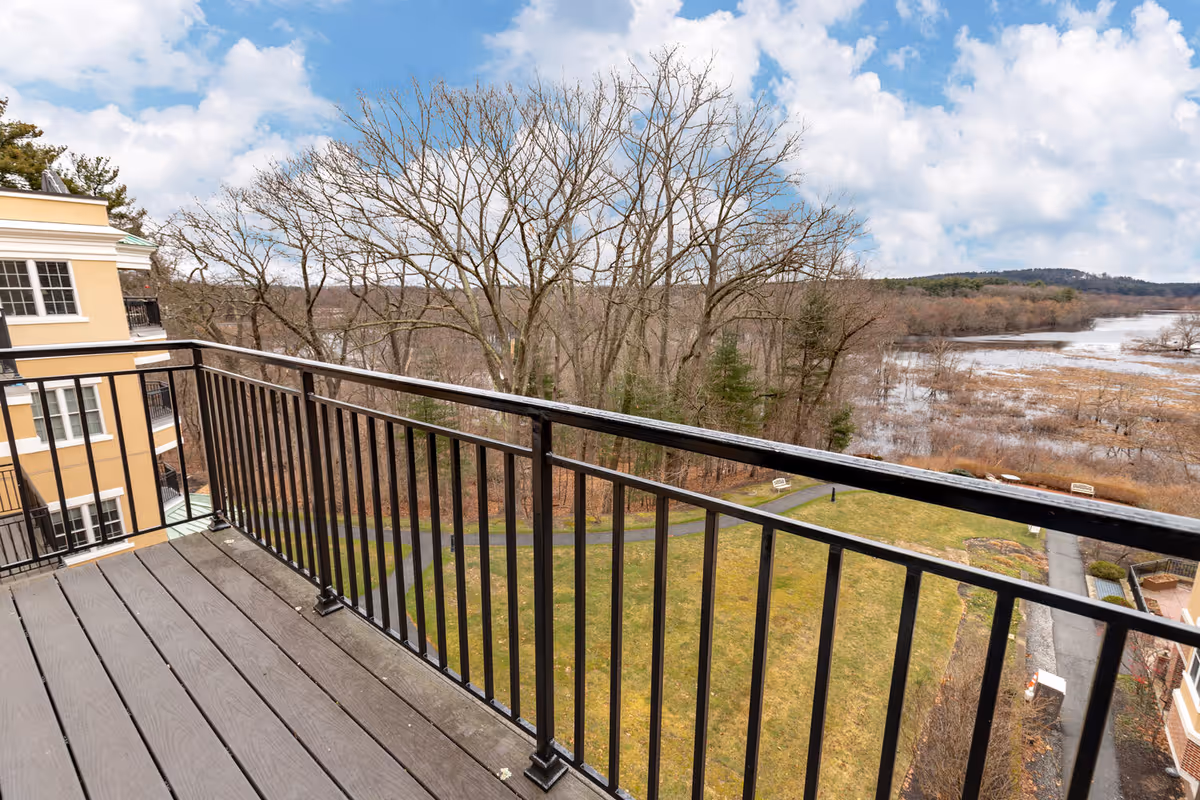 View from a balcony with a black metal railing overlooking grassy grounds, bare trees, and a river or wetland beyond.