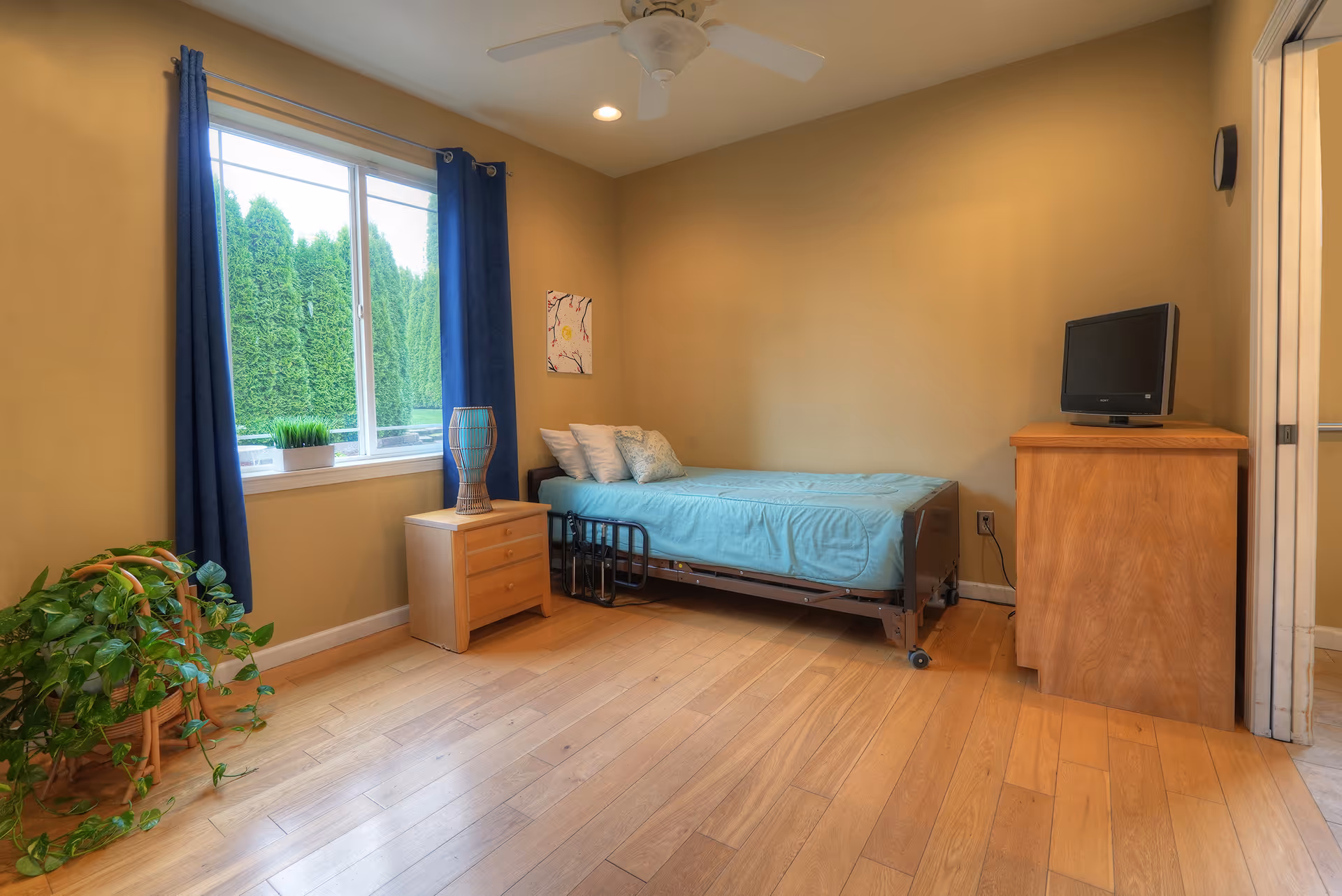 A simple bedroom with a single bed covered in a light blue blanket and several pillows. Next to the bed is a small wooden nightstand with a decorative lamp. A window with blue curtains lets in natural light, showing green trees outside. There is a wooden dresser with a small TV on top. The floor is light wood, and there is a green potted plant in a wicker basket on the floor near the window. The walls are painted beige, and a ceiling fan is visible.