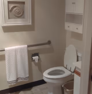 A clean bathroom with a white toilet, a towel hanging on a metal grab bar, a wall-mounted cabinet with drawers, a small trash bin, and a framed shell artwork on the wall.