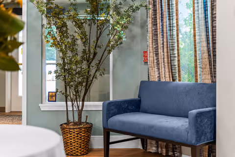 A cozy interior corner featuring a blue upholstered loveseat next to a large window with patterned curtains. A tall potted plant with green leaves sits beside the loveseat, and a round table with a white tablecloth is partially visible in the foreground.