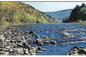 A river flowing through a rocky riverbed with trees on both sides and hills in the background under a clear sky.