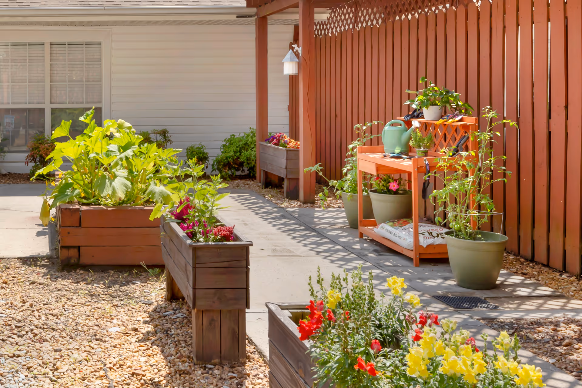 A sunny outdoor garden area with raised wooden planters filled with various green plants and colorful flowers. A wooden potting bench with gardening supplies, including a green watering can and potted plants, is positioned against a red wooden fence. The background shows a white building wall with a window.