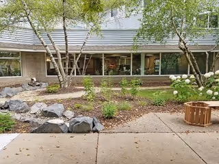 Outdoor garden area with a concrete pathway, rocks, small plants, and trees in front of a building with large windows and a sloped roof.