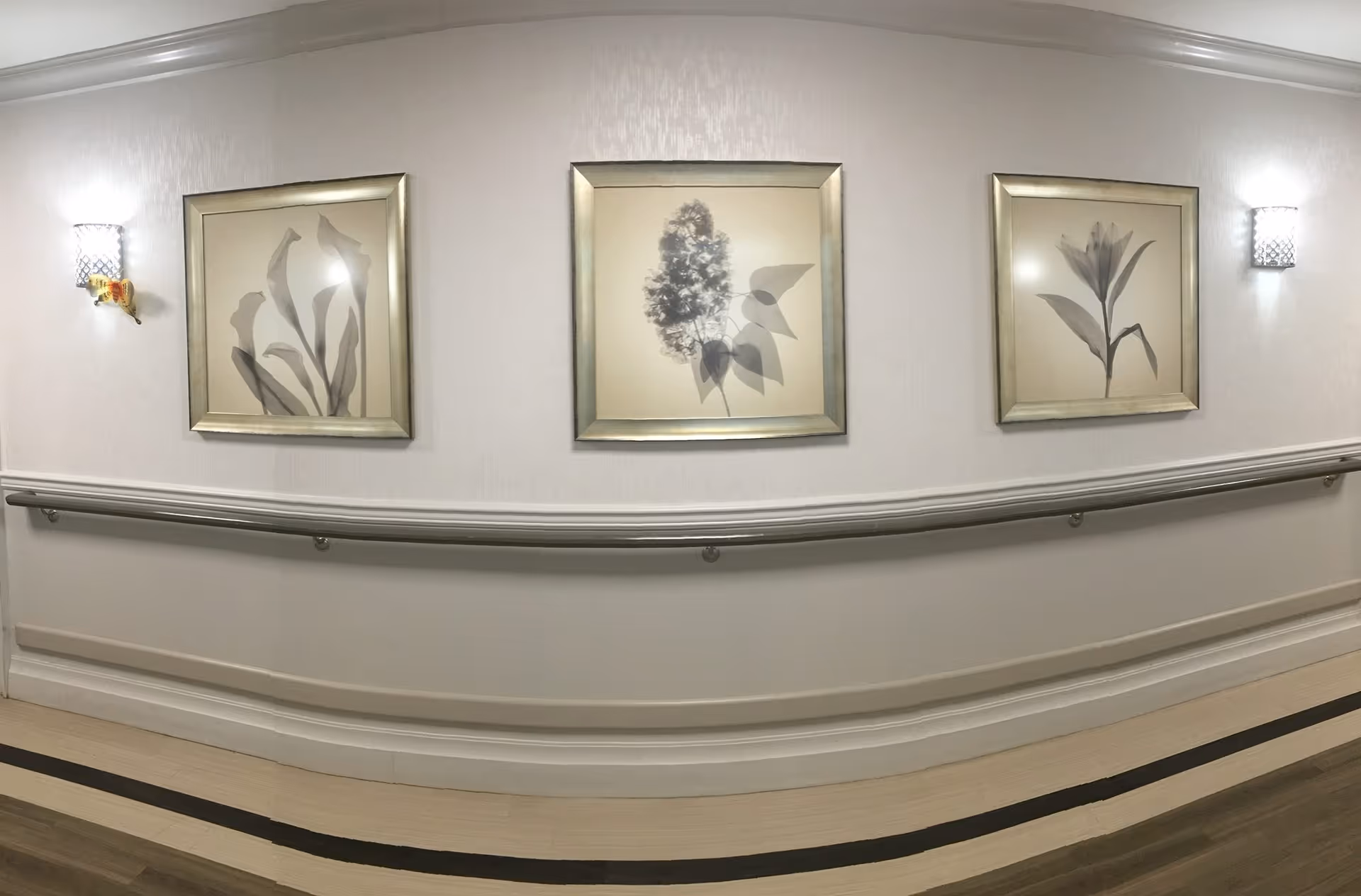 A hallway wall in a senior living facility with three framed botanical prints evenly spaced between two wall sconces. The wall has a handrail running horizontally along its length, and the floor features a light wood pattern with a dark stripe near the wall.