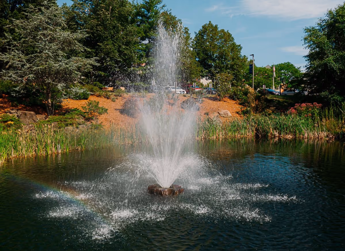 A water fountain spraying water upwards in the middle of a pond surrounded by greenery, trees, and shrubs under a partly cloudy sky.
