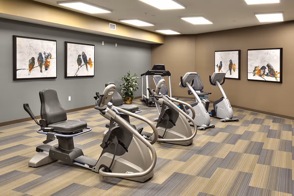 A fitness room with exercise equipment including recumbent bikes and a treadmill. The room has patterned carpet flooring, beige and gray walls, and four framed pictures of birds on branches hanging on the walls. There is also a potted plant in the corner.