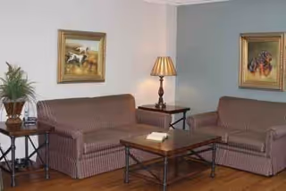 Two striped sofas surround a coffee table in a tidy, well-lit living room.