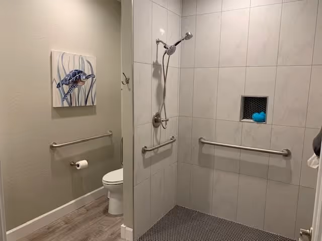 A bathroom with a walk-in shower featuring a handheld showerhead and grab bars. The shower walls are tiled in light gray with a small built-in niche holding a blue bath sponge. The floor has small dark tiles. Outside the shower, there is a toilet with a grab bar and a toilet paper holder on the wall. A painting of a sea turtle swimming among seaweed hangs on the wall above the toilet. The floor outside the shower is wood-style laminate.