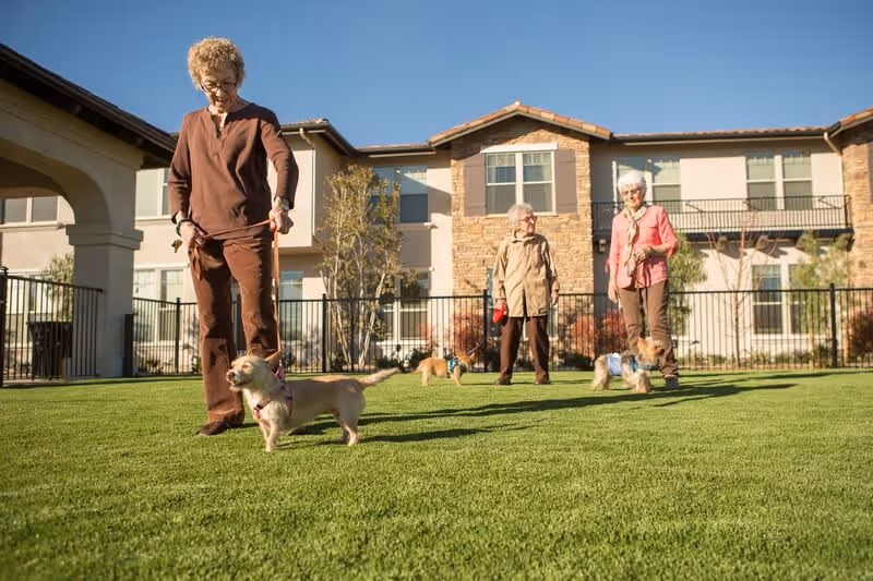 Three elderly women standing on a grassy lawn outside a residential building, each accompanied by small dogs on leashes, with a clear blue sky overhead.