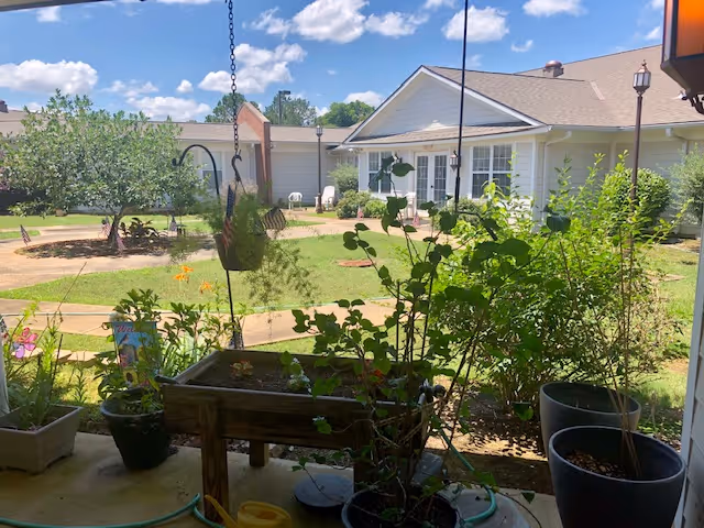 View of a sunny outdoor garden area with green grass, plants, and flowers in pots and planters. There is a paved walkway curving through the garden and a white building with large windows and a sloped roof in the background under a blue sky with scattered clouds.