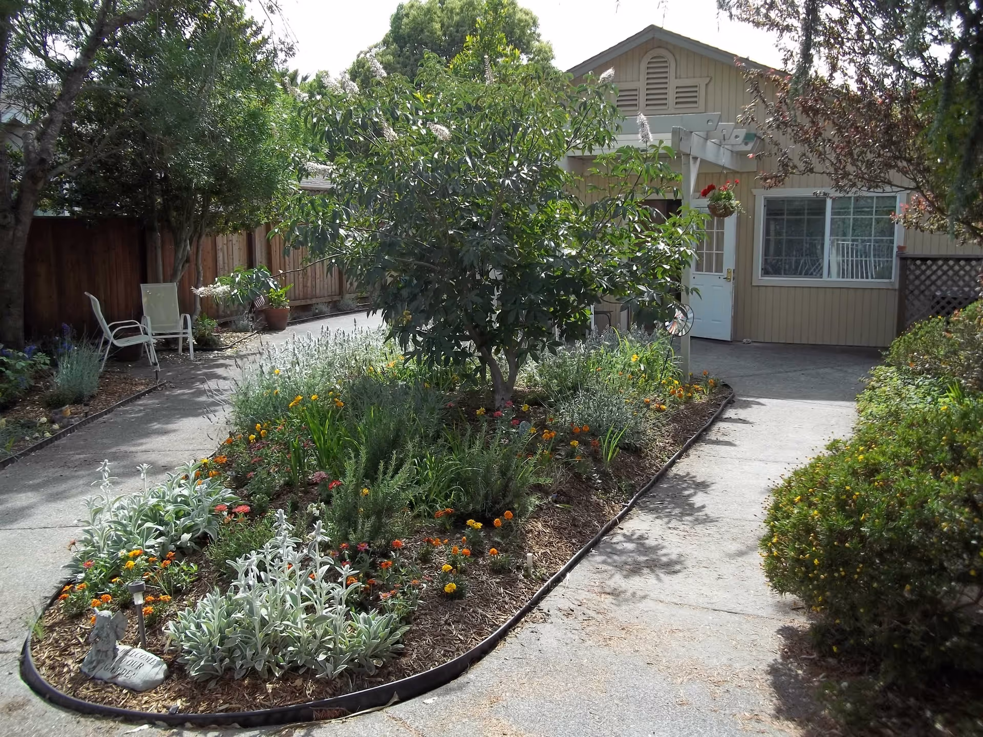 A garden area with various plants and flowers bordered by a concrete pathway leading to the entrance of a beige building. There are two white chairs on the left side near a wooden fence, and a small tree is planted in the middle of the garden bed. The building has a white door and a window with white curtains.