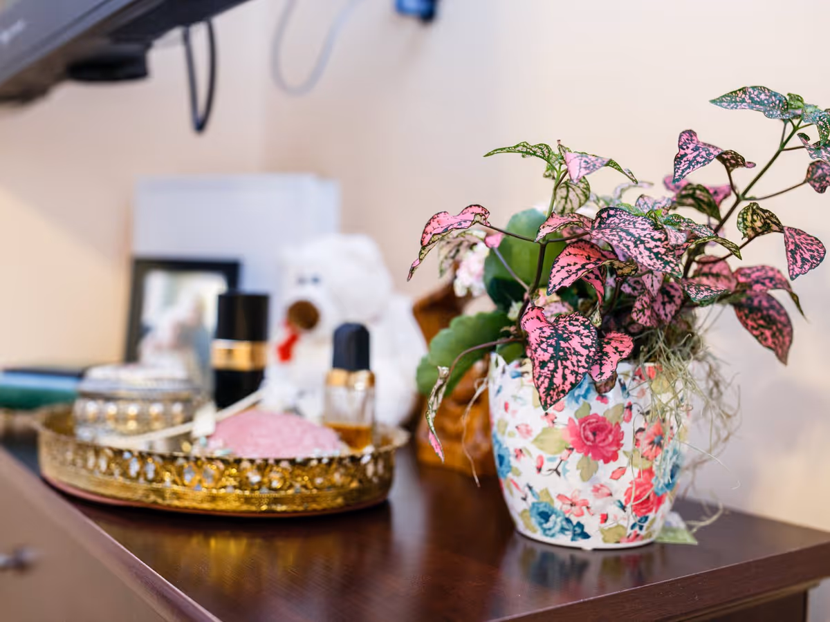 A close-up of a wooden surface with a decorative floral-patterned pot containing a pink and green leafy plant. Next to the plant is a gold tray holding various small items including a pink heart-shaped object, a small glass container, and two black and gold bottles. In the background, there is a blurred white teddy bear and a framed photo.