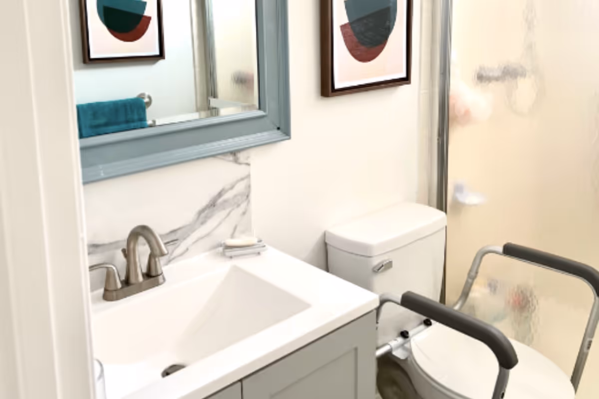 Compact bathroom featuring a sink and mirror, a toilet with assistive transfer rails, and a frosted-glass shower.