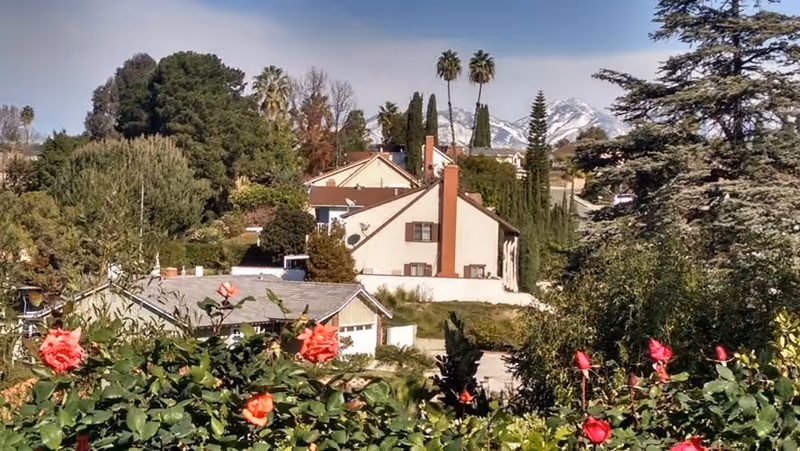 View of a residential area with houses surrounded by trees and bushes, with red roses in the foreground and snow-capped mountains in the background under a clear sky.