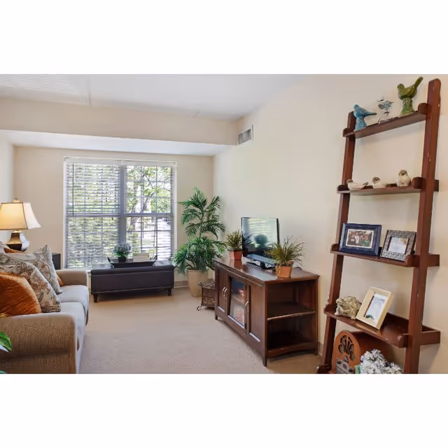 Cozy living room with a sofa, TV on a wooden media console, decorative ladder shelf, and a large window with blinds.