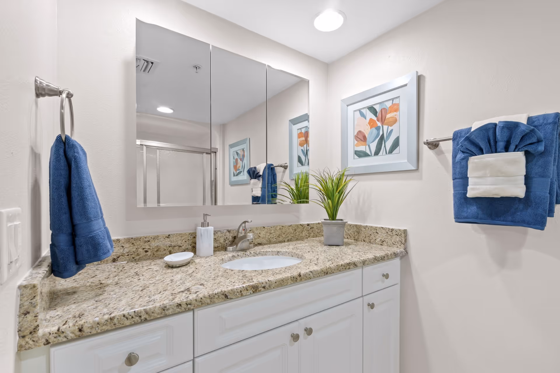 Bathroom vanity with a granite countertop, undermount sink, mirrored medicine cabinet, blue towels, and framed floral artwork.