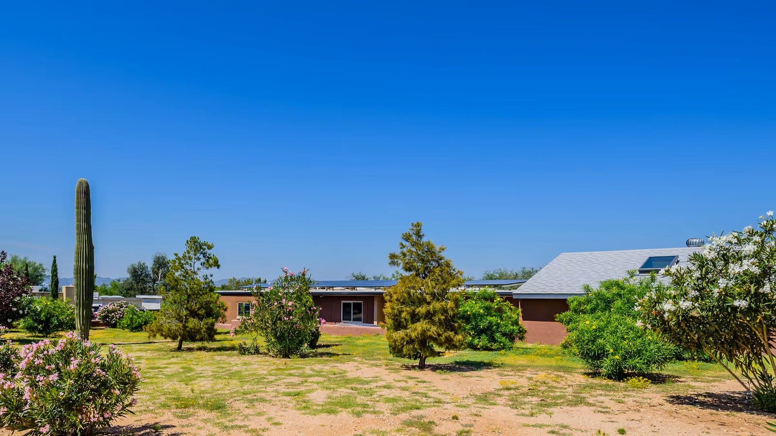 Low single-story building set behind desert landscaping with a tall saguaro cactus, small trees and shrubs under a clear blue sky.