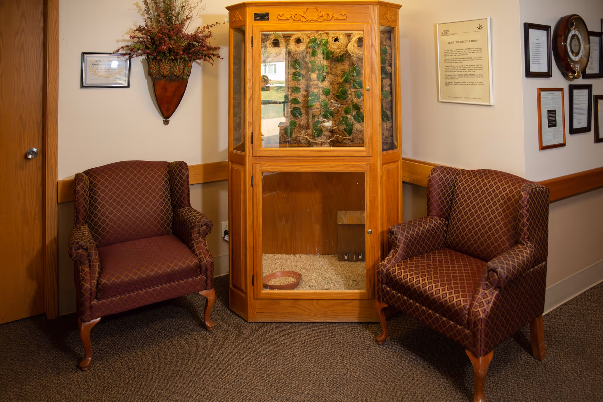 A cozy corner in an interior room featuring two patterned armchairs on either side of a wooden display cabinet with glass panels. The cabinet contains plants and natural materials. The walls are decorated with framed certificates, a floral wall arrangement, and a clock.