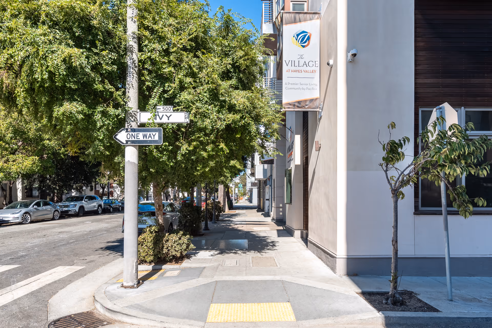 Sidewalk view of a street corner with trees lining the street and parked cars. A street sign indicates a one-way street named Ivy. A building on the right has a vertical banner sign that reads 'The Village at Hayes Valley, A Premier Senior Living Community by Pacifica.'