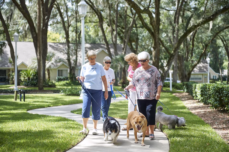 Four elderly women walking dogs on a paved pathway in a lush, green outdoor area with trees and residential buildings in the background.