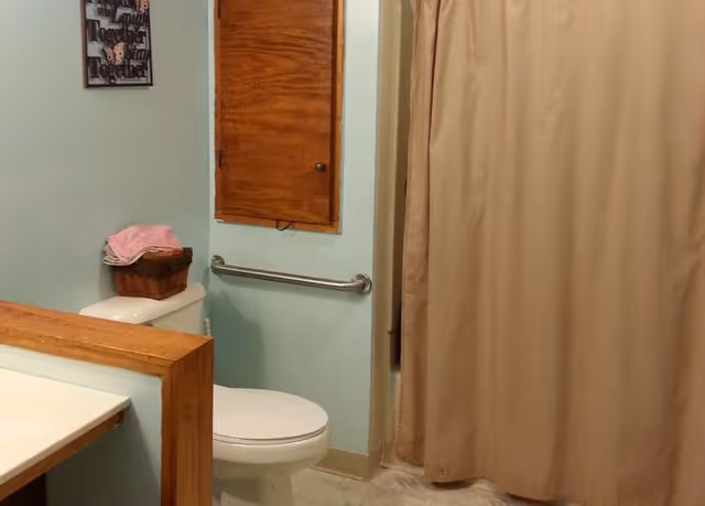 Small bathroom with a toilet, horizontal grab bar, shower with beige curtain, sink counter, and a wooden wall cabinet.