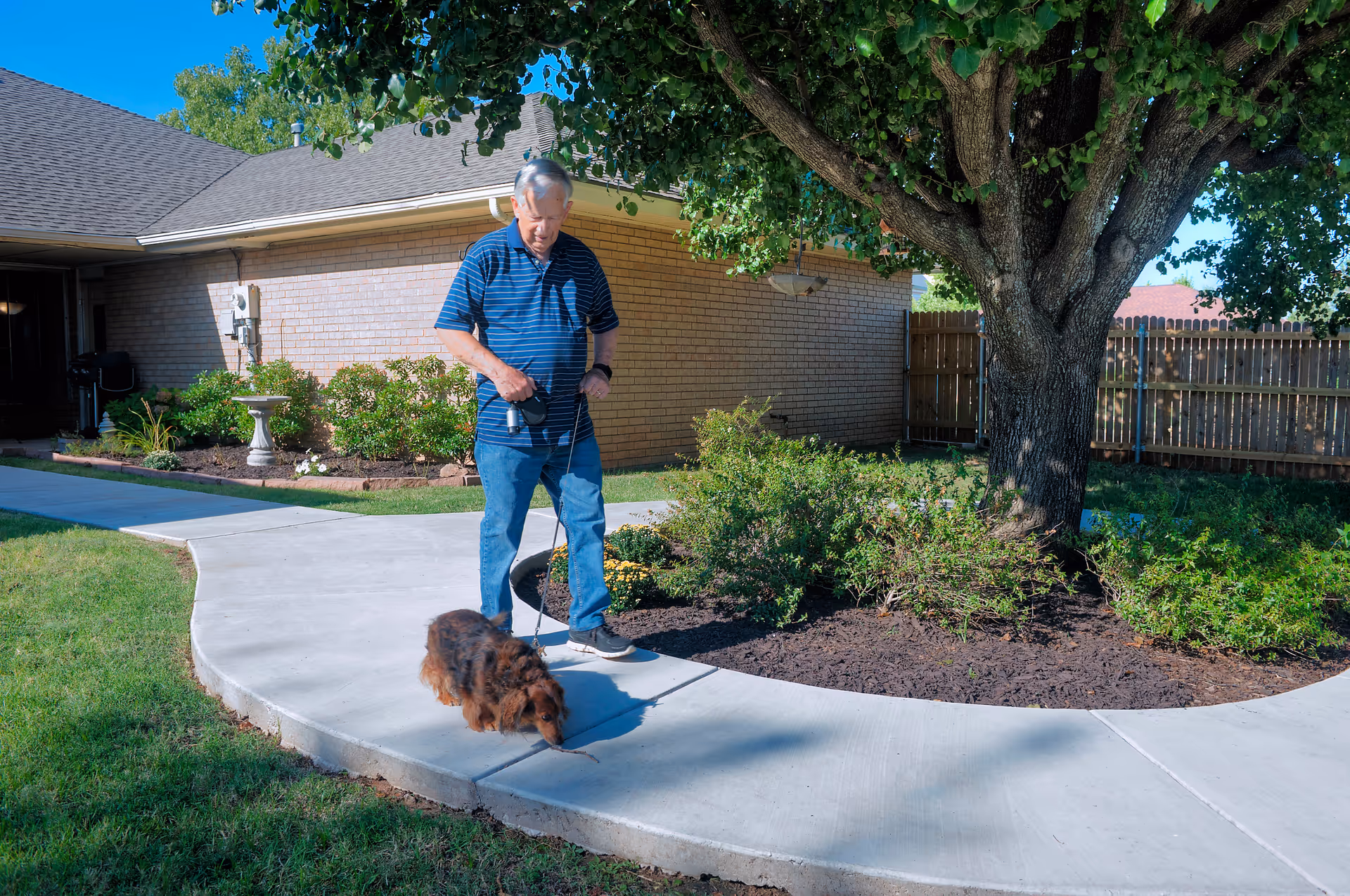 An elderly man walking a small brown dog on a leash along a curved concrete pathway in a garden area with green grass, bushes, and a large tree. A brick building and wooden fence are visible in the background under a clear blue sky.