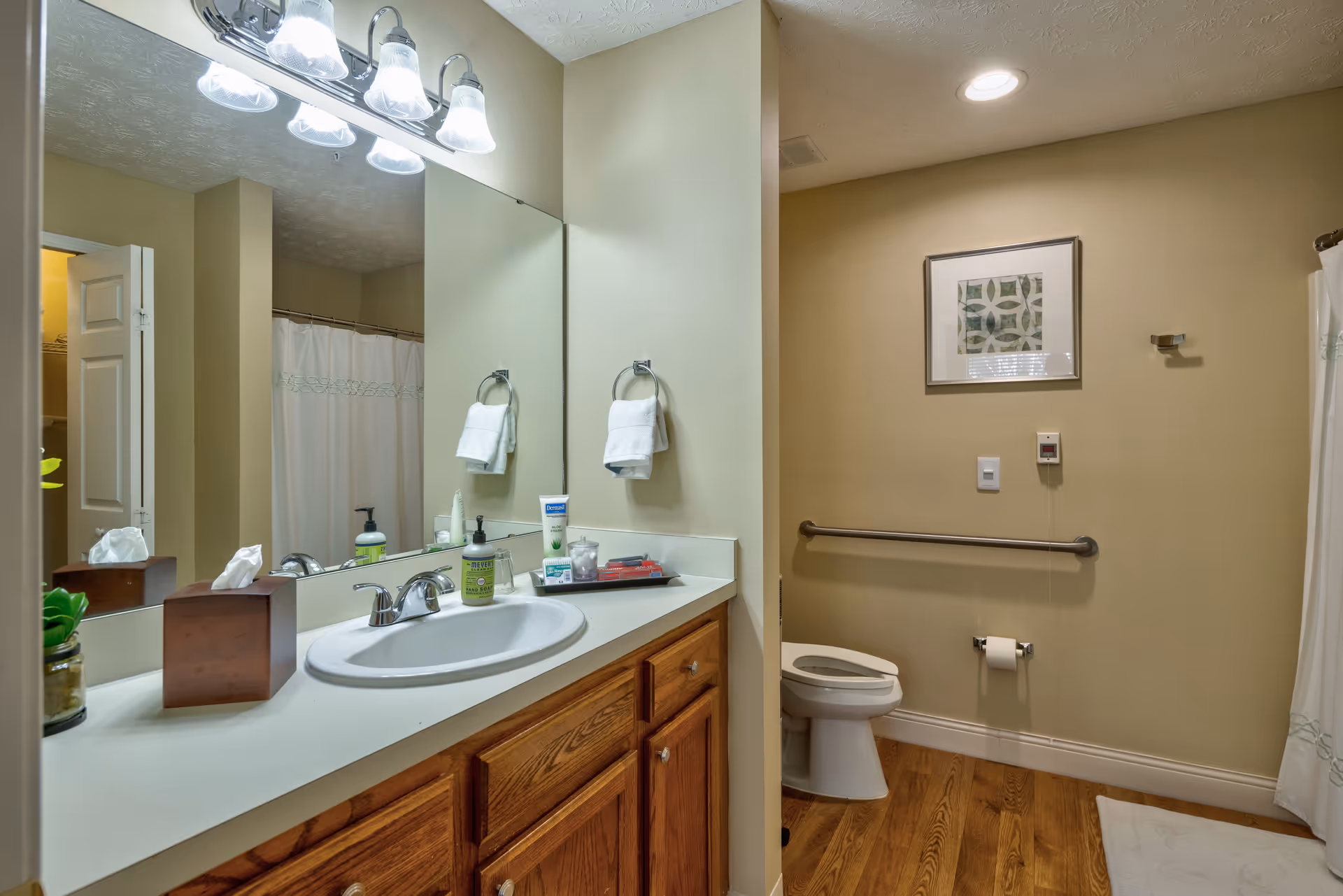 A bathroom with a wooden vanity featuring a white sink and countertop. Above the sink is a large mirror with three light fixtures. On the countertop are a tissue box, a small plant, hand soap, lotion, and other toiletries. To the right, there is a toilet with a grab bar on the wall, a toilet paper holder, and a framed artwork above. The floor is wooden, and there is a white shower curtain on the right side.