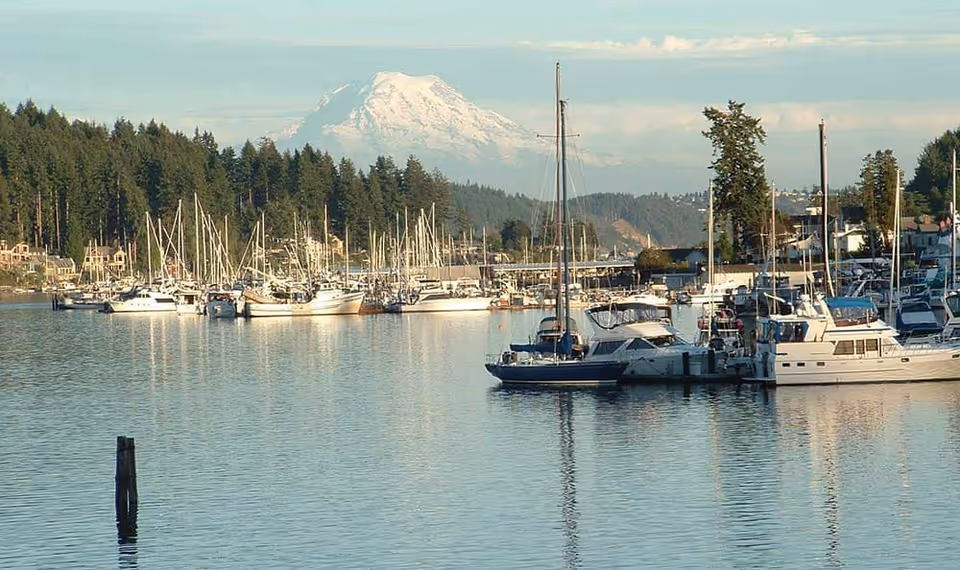 A marina with numerous sailboats and yachts docked on calm water, surrounded by trees and houses, with a snow-capped mountain in the background under a partly cloudy sky.