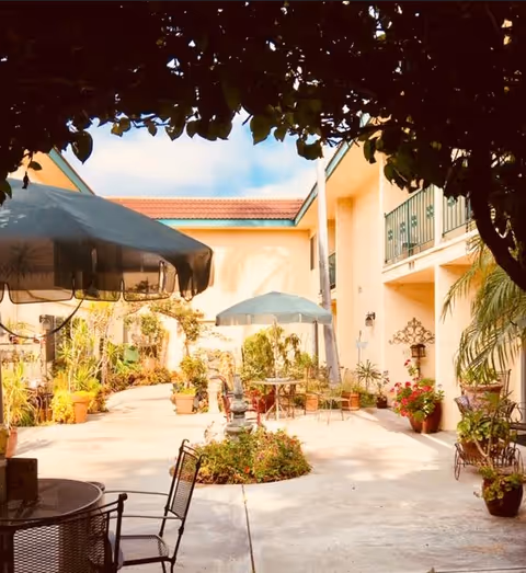 Outdoor courtyard area at Cambridge Court Assisted Living with patio tables and chairs under umbrellas, surrounded by potted plants and greenery, with a two-story building in the background.