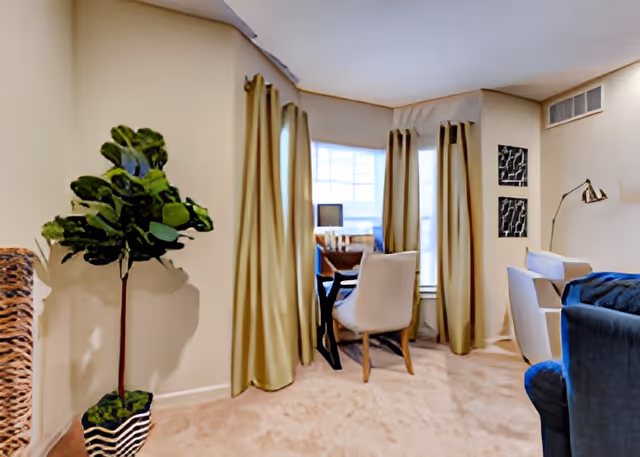 A cozy living room area with beige carpet and light-colored walls. There is a tall green potted plant on the left, a window with beige curtains in the center, and a small desk with a chair in front of the window. To the right, there is a blue armchair, a white chair, a floor lamp, and two framed abstract artworks on the wall.