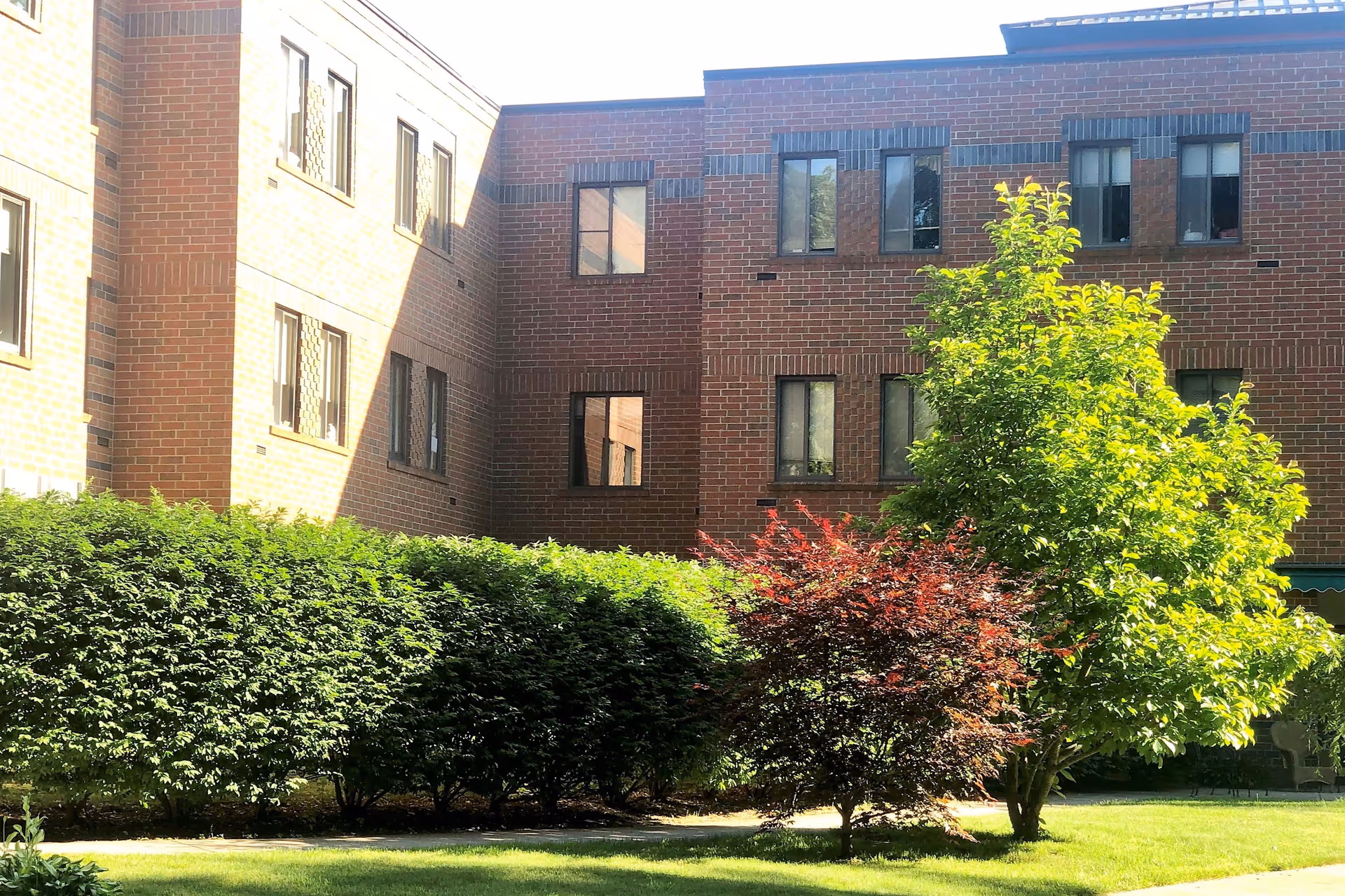 Outdoor courtyard area of a brick building with multiple windows, featuring green grass, a hedge, and two trees with green and reddish leaves under bright sunlight.