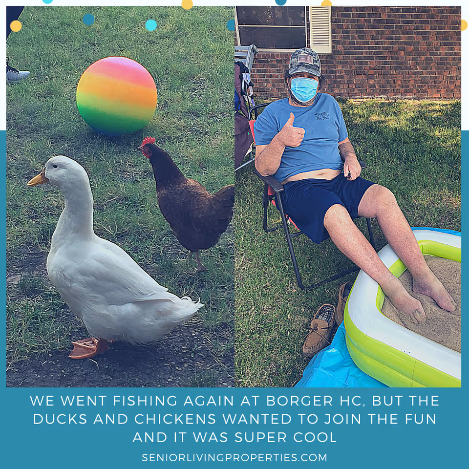 A split image showing a white duck and a brown chicken on grass with a colorful ball in the background on the left side, and a man wearing a mask, blue shirt, and shorts sitting on a chair with his feet in a small inflatable pool filled with sand on the right side.