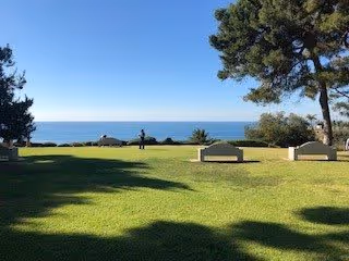 A grassy outdoor area with several benches facing the ocean, surrounded by trees and clear blue sky.