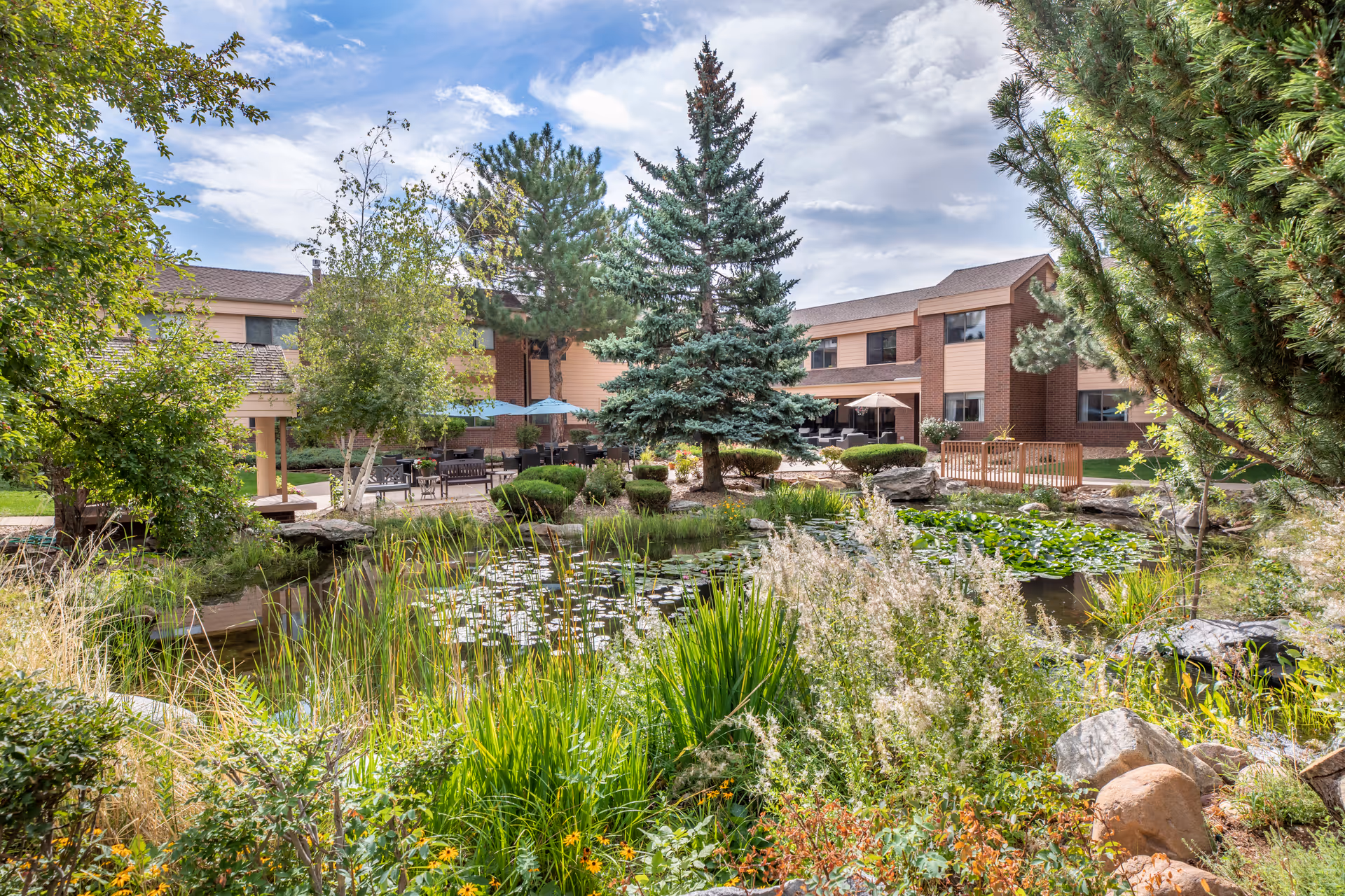 A serene outdoor garden area at Brookdale Meridian Boulder featuring a small pond with lily pads surrounded by lush greenery, trees, and flowering plants. In the background, there is a two-story brick and beige building with patio seating and umbrellas under a partly cloudy sky.