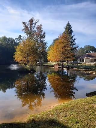 A serene outdoor scene at Majestic Pines Senior Village featuring a calm pond with clear reflections of autumn-colored trees and a small fountain. A building and wooden fence are visible in the background under a partly cloudy sky.