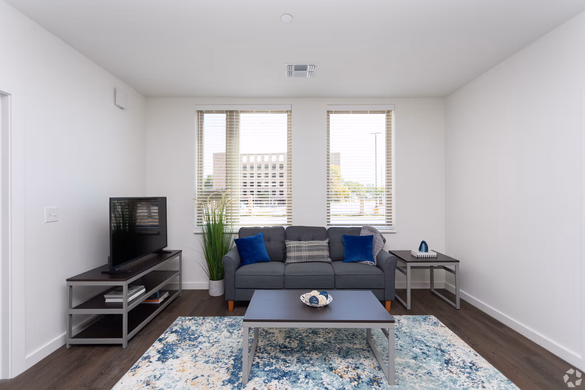 A modern living room with a gray sofa adorned with blue and gray pillows, a dark coffee table with decorative balls, a matching side table with a tissue box and book, a TV on a stand, a tall green plant, and two windows with blinds letting in natural light.