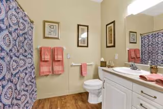 Bathroom with a white toilet and a white vanity with a sink. There is a large mirror above the sink and a patterned shower curtain on the left side. Two pink towels hang on a towel rack on the wall, and a smaller pink towel is draped over a grab bar next to the toilet. The floor has wood-like flooring, and there are framed pictures on the wall.