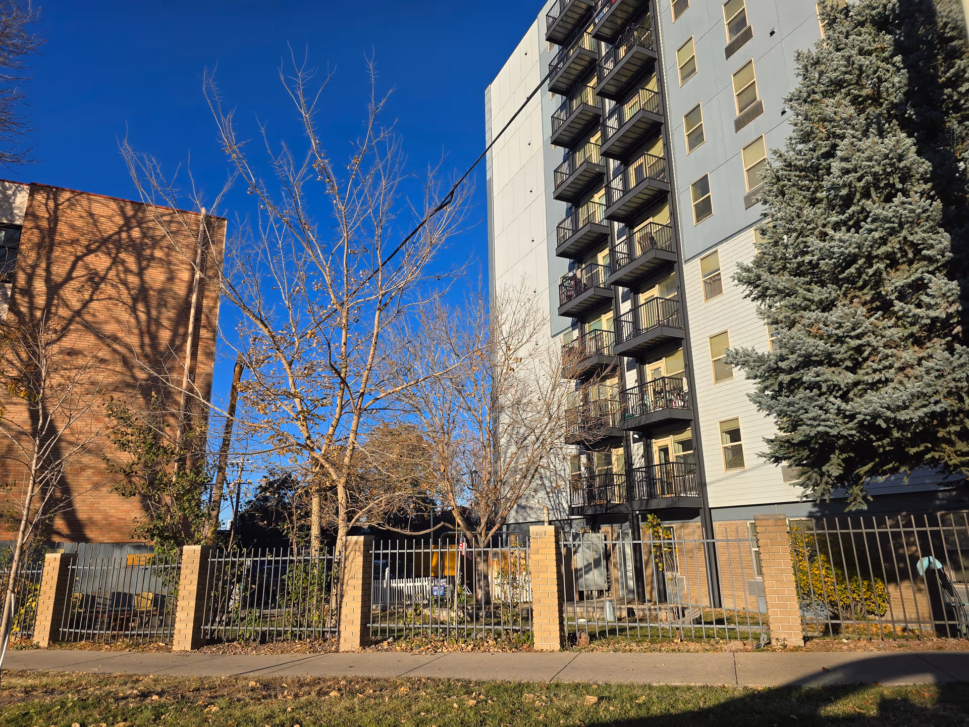Exterior view of a multi-story building with balconies, surrounded by leafless trees and a tall evergreen tree, with a metal fence and brick pillars in the foreground under a clear blue sky.