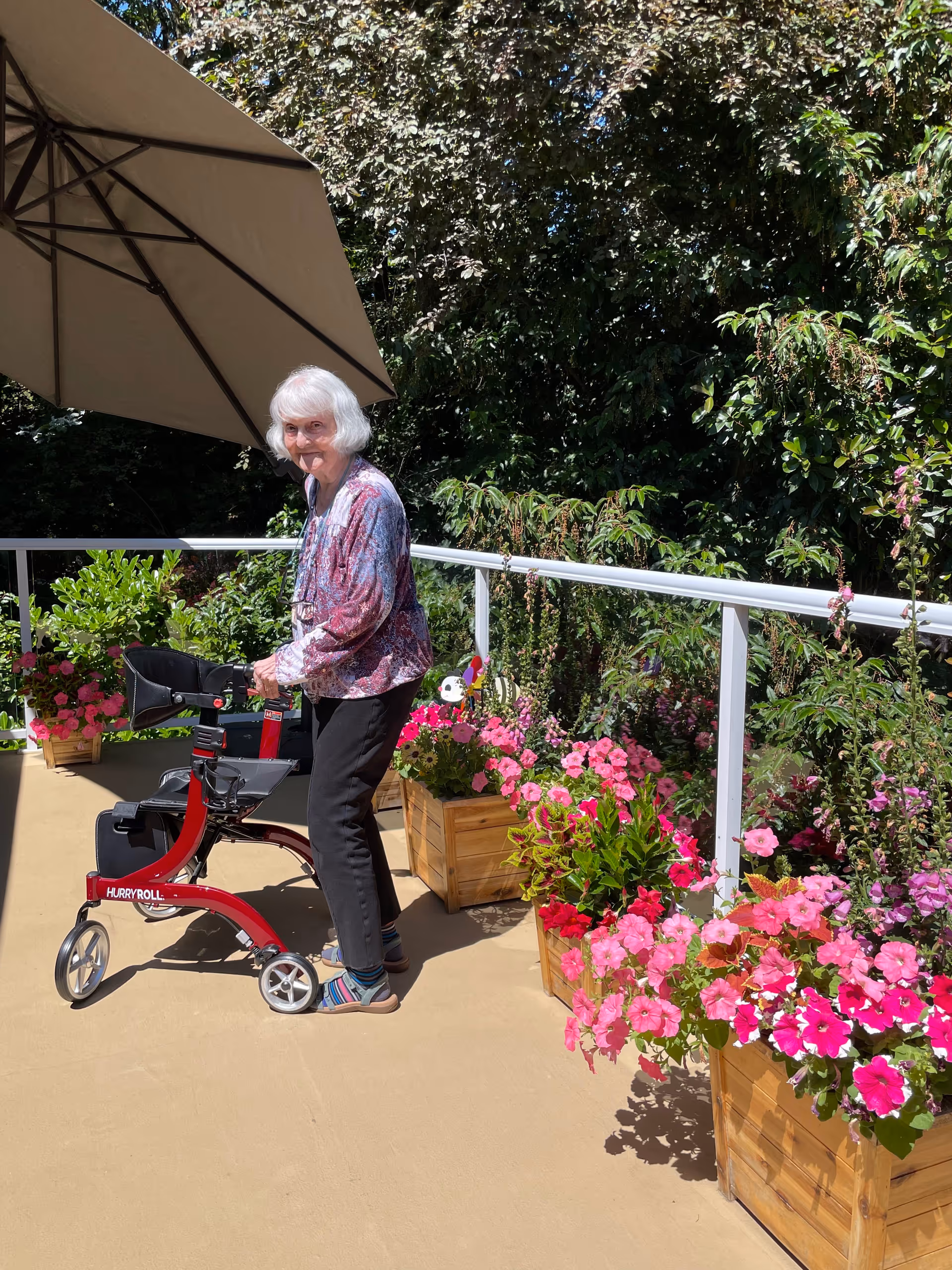 An elderly woman with white hair using a red walker on a sunny outdoor patio. She is standing near wooden planters filled with vibrant pink and red flowers. There is a large beige umbrella providing shade, and lush green trees and bushes in the background.