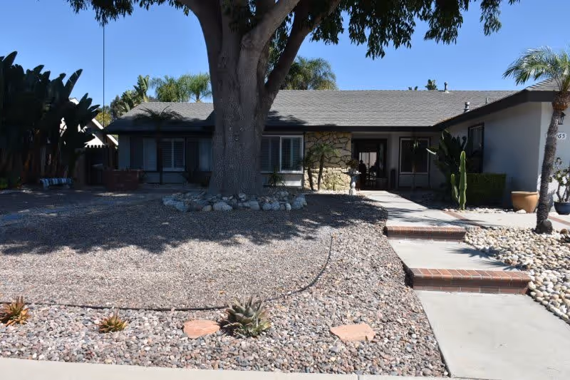 Front exterior view of a single-story house with a large tree in the front yard surrounded by rocks and small plants. The house has a stone facade near the entrance, windows with shutters, and a concrete walkway with steps leading to the front door. Palm trees and other greenery are visible around the property under a clear blue sky.