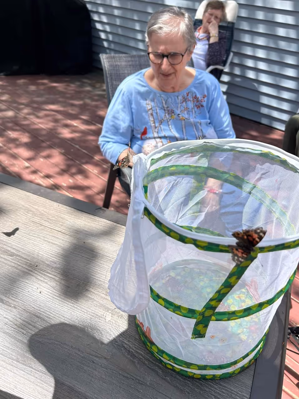 An elderly woman wearing glasses and a light blue shirt with a bird and tree design is sitting outside on a patio. In front of her on a table is a mesh enclosure with a butterfly perched on it. Another person is sitting in the background on a chair near a gray siding wall.